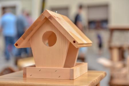 45. RIBNIŠKI SEMENJ 21